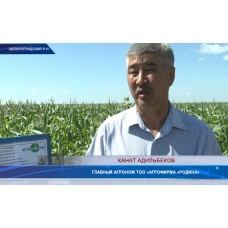 Новости агрохимии | Мир, СНГ, ТС, Казахстан